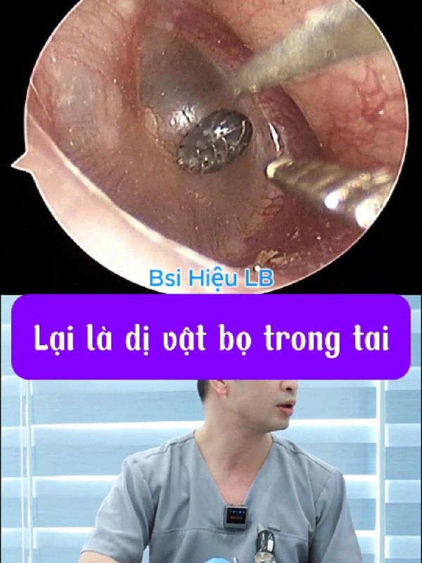 Nhà nuôi thú cưng cần chú ý điều gì